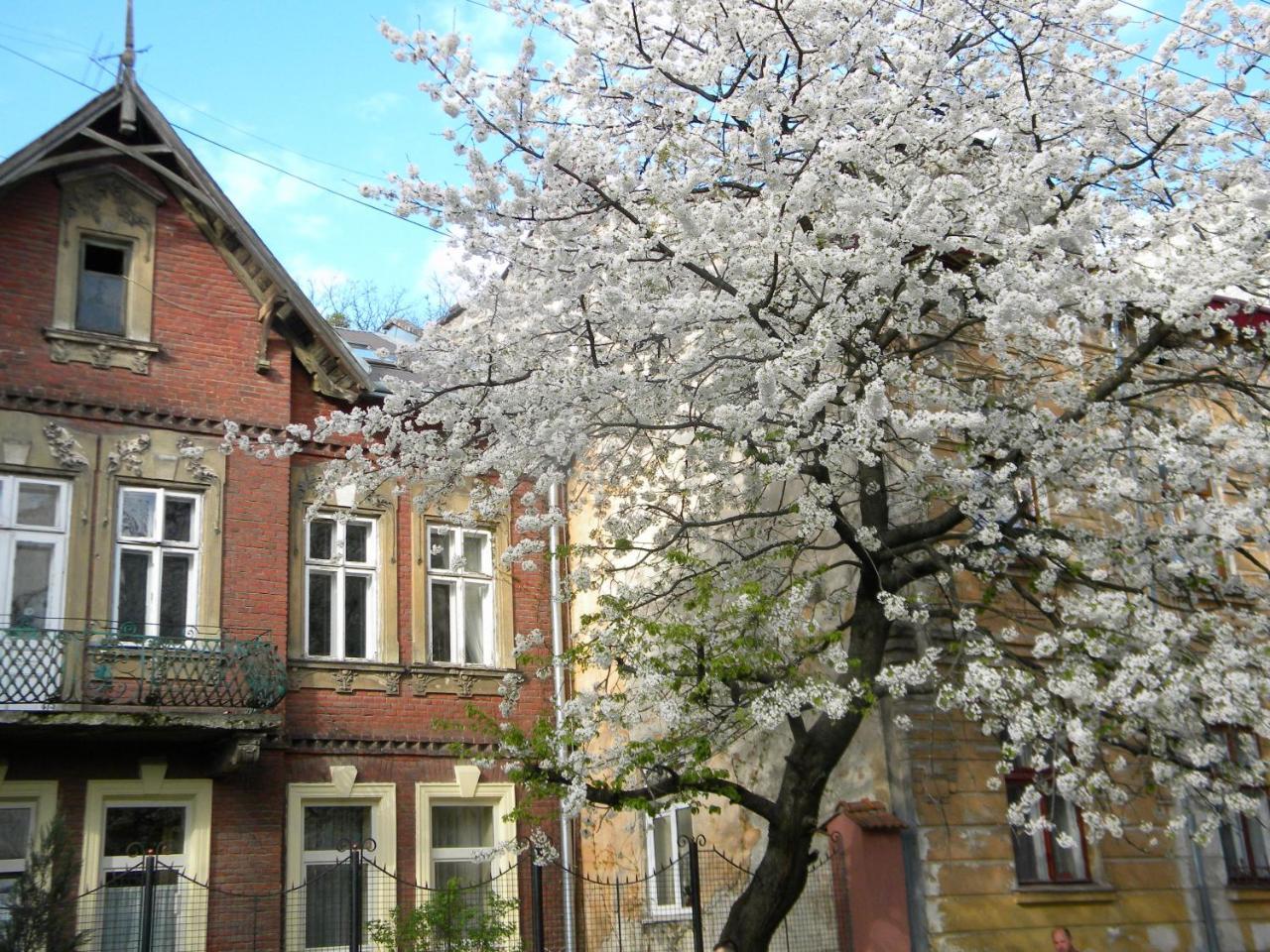 Studios At Anchevskih 3 Lviv Bagian luar foto